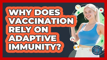 Why Does Vaccination Rely On Adaptive Immunity? - All About the Immune System