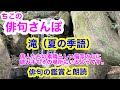 【俳句さんぽ・第21回】滝（夏の季語）初心者にもわかりやすい俳句鑑賞です。俳人たちの素晴らしい描写に読み手もその場所にいるようです。#俳句 #俳句鑑賞 #俳句朗読