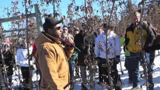 The Decision to Lease and Operate an Apple Orchard — FGNtv