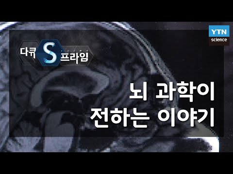 뇌 과학이 전하는 이야기 [다큐S프라임] / YTN 사이언스