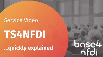 TS4NFDI quickly explained