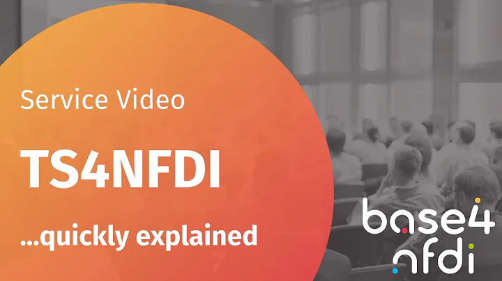 TS4NFDI quickly explained