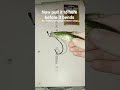 how to rig a fluke #bassfishing #fishing