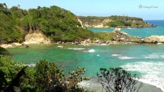 Download Lagu Chaman Gul Yuma MP3 Chaman Gul Yuma