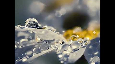 تلاوه رائعه للقارئ هزاع البلوشي _ سورة الصف