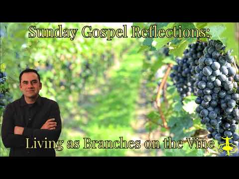 Living as Branches on the Vine: 5th Sunday of Easter