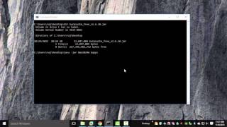 Burp - Starting from Command line