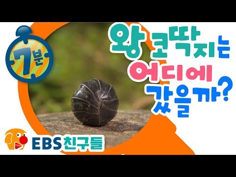 [EBS친구들][명탐정 피트]왕 코딱지는 어디로 갔을까?[피트/바바/몰리/코코/돌프/키키/래비]