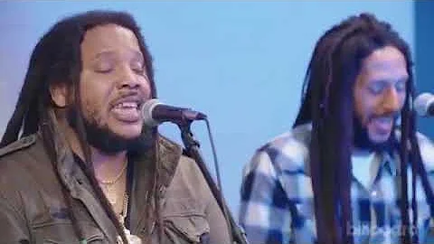 Stephen Marley, Julian Marley and Damian Marley Bi...