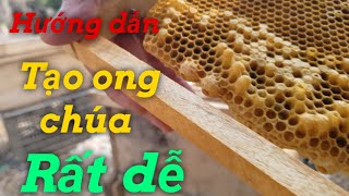 Hướng dẫn tạo ong chúa cho đàn ong rất dễ
