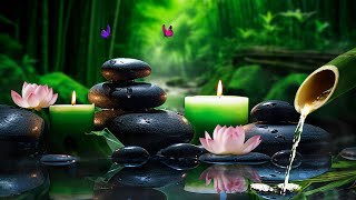 RELAXING ANTI-STRESS MUSIC TO CALM THE MIND - MUSIC TO REDUCE ANXIETY #8 by Peaceful Relaxation 982 views 3 weeks ago 3 hours, 32 minutes