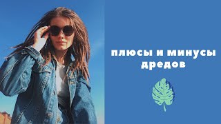 Плюсы и минусы натуральных дредов