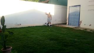 Começando O Treinamento Em Escalada Pitbull... Não É A Raça E Sim Como Se Cria