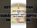 Esto opina Pan de el mundial de Sudáfrica y Egipto #soypan #fyp #mundial2026 #mundial #kick