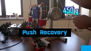 Humanoid (Push Recovery)