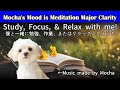 Meditation BGM Study/Work/Relax [勉強/作業/リラックスBGM] Clarity Album