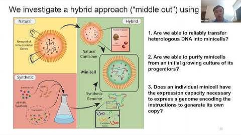 Build-a-Cell seminar Eric Wei: Collaborative and Standardized Development of Lineage-Agnostic Cells