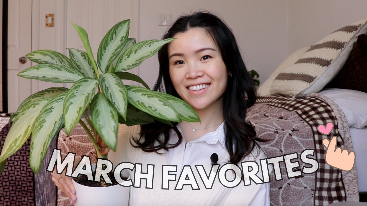 Houseplant Favorites for March 2024  | Plants of the Month
