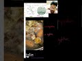 Kingdom fungi quick revision part 4 #neet2025 #biology #neetbiosage