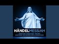 Miniature de la vidéo de la chanson Messiah, Hwv 56: Part Ii, Xxi. Chorus "Surely, He Hath Borne Our Griefs"