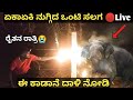 Wild elephant attack live in karnataka villagetreehouse camping 2