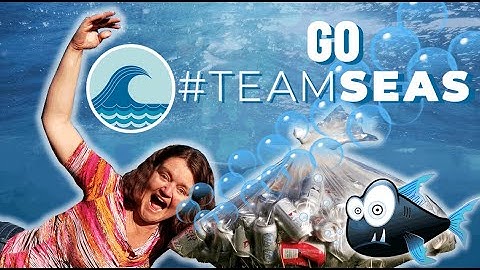 How To Donate To #TEAMSEAS With MR BEAST & MARK ROBER 😍 (Ocean says, "Thank-you"🙏)