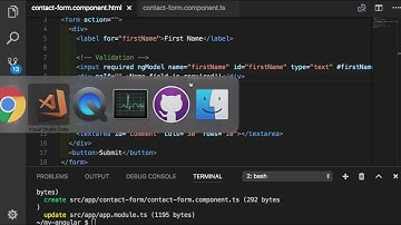 Angular 045 -  Validation with ngModel