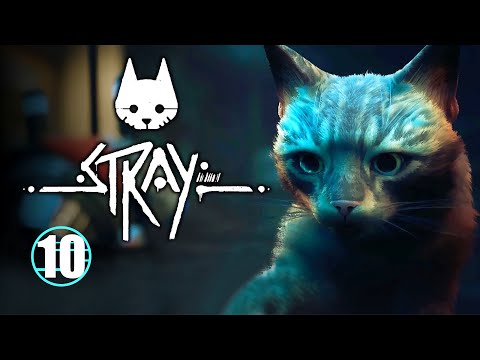 Видео: Stray • 10 • Мидтаун • Прохождение без комментариев