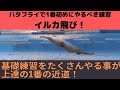 【イルカ飛び！】バタフライで1番最初にやるべき練習を解説！
