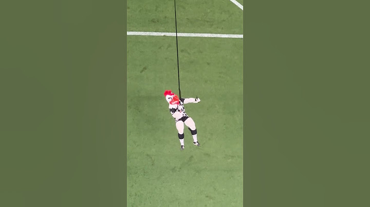 POV: VOCÊ é o GALO DOIDO VOANDO na ARENA MRV 🐔🤪