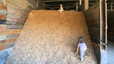Grossi Dairy Farm Virtual Tour