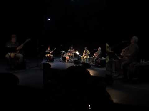 Mohsen Namjoo London Southbank June 2019