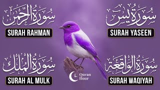 Very Nice Voice Surah Yaseen | Surah Rahman | Surah Waqiah | Surah Mulk l Reciter Ashraf Hussain 081