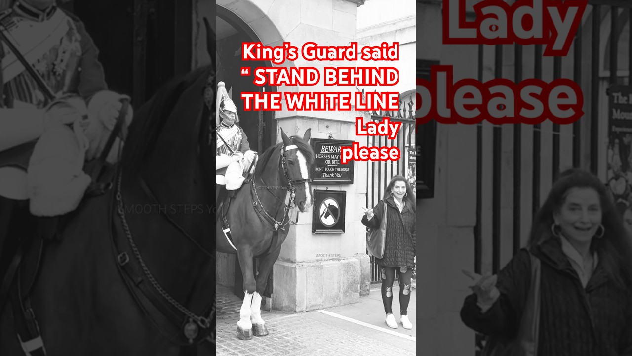 King’s Guard said “ STAND BEHIND THE WHITE LINE Lady please 