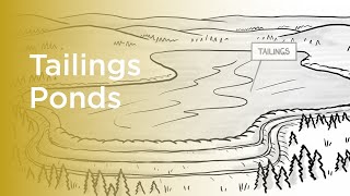 What are Oil Sands Tailings?