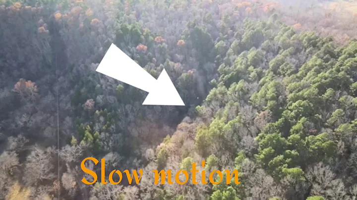 Drone footage of UFO Leaving Forest at a high rate of speed what do you think this is ?