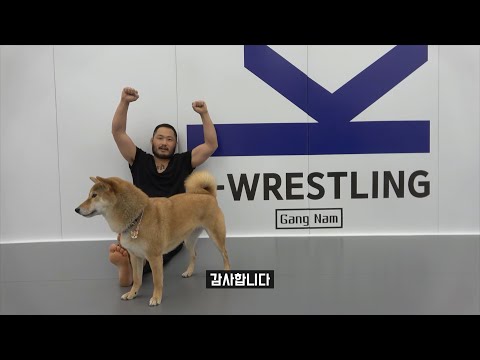 선릉역에 새로운 레슬링 체육관 현장 / 케이레슬링 <strong>이사완료</strong>