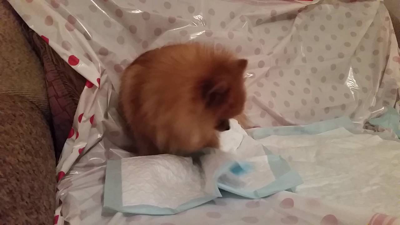 2. Потеря аппетита