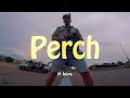 perch it here, dive it and bonk it! / FPV FREESTYLE