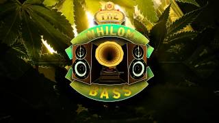 Panda Dub - Interlude Pour Manutension