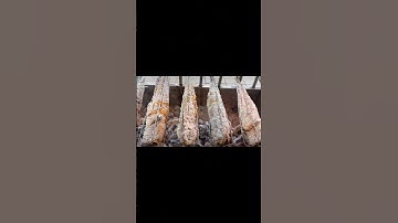 Lò quay cá lóc nướng muối tuyết. ac e có ý định mở quán liên hệ zalo 0327537148 nhé