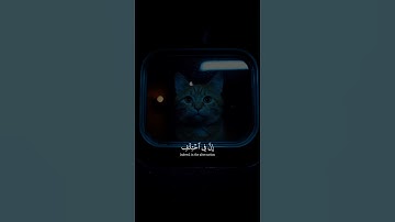 إن في اختلاف الليل والنهار وما خلق الله في السموات والأرض لآيات لقوم يتقون #عبدالرحمن_مسعد