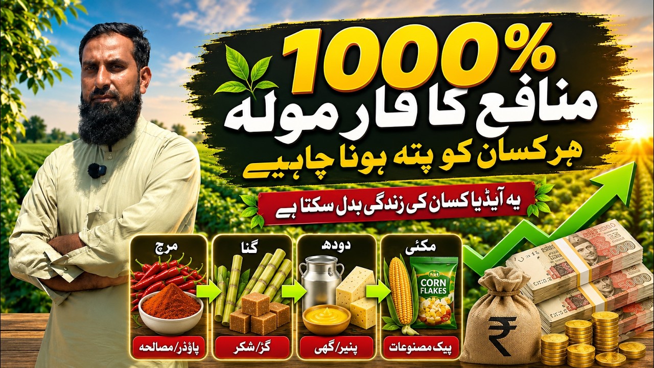 🔥1000% Profit Ka Formula Har Farmer Ko Pata Hona Chahiye | Yeh Idea kisan Ki Zindagi Badal Sakta Hai