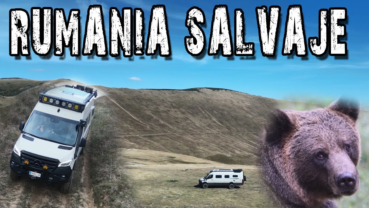 LA RUMANÍA MÁS SALVAJE: Encuentros con Osos Pardos 🐻 AVENTURA EN CAMPER 4x4 🚐 | Vuelta al mundo