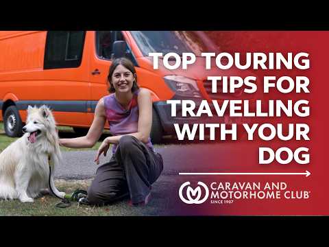 Expert Advice For Travelling With A Dog | Caravan and Motorhome Club