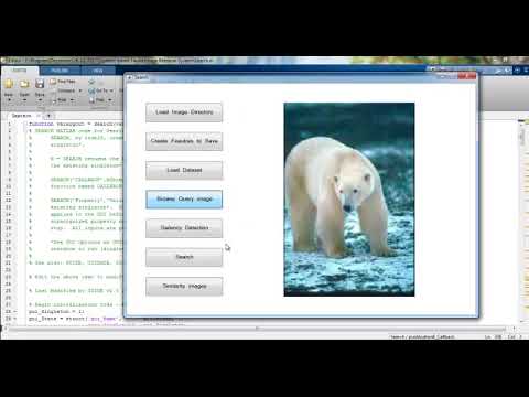 Projects in Digital Image Processing | Thesis in Digital Image Processing