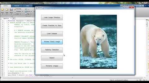 Projects in Digital Image Processing | Thesis in Digital Image Processing
