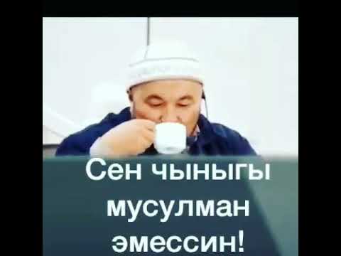 Video: Момун дөбө