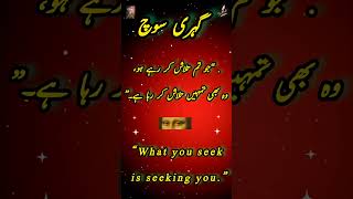 What are you seek  #quotes  #vickycheema #mamayanda #southaf #molanaroomiquotes #jalaludinroomiquote