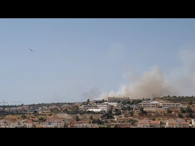 השריפה סמוך לביתר עילית